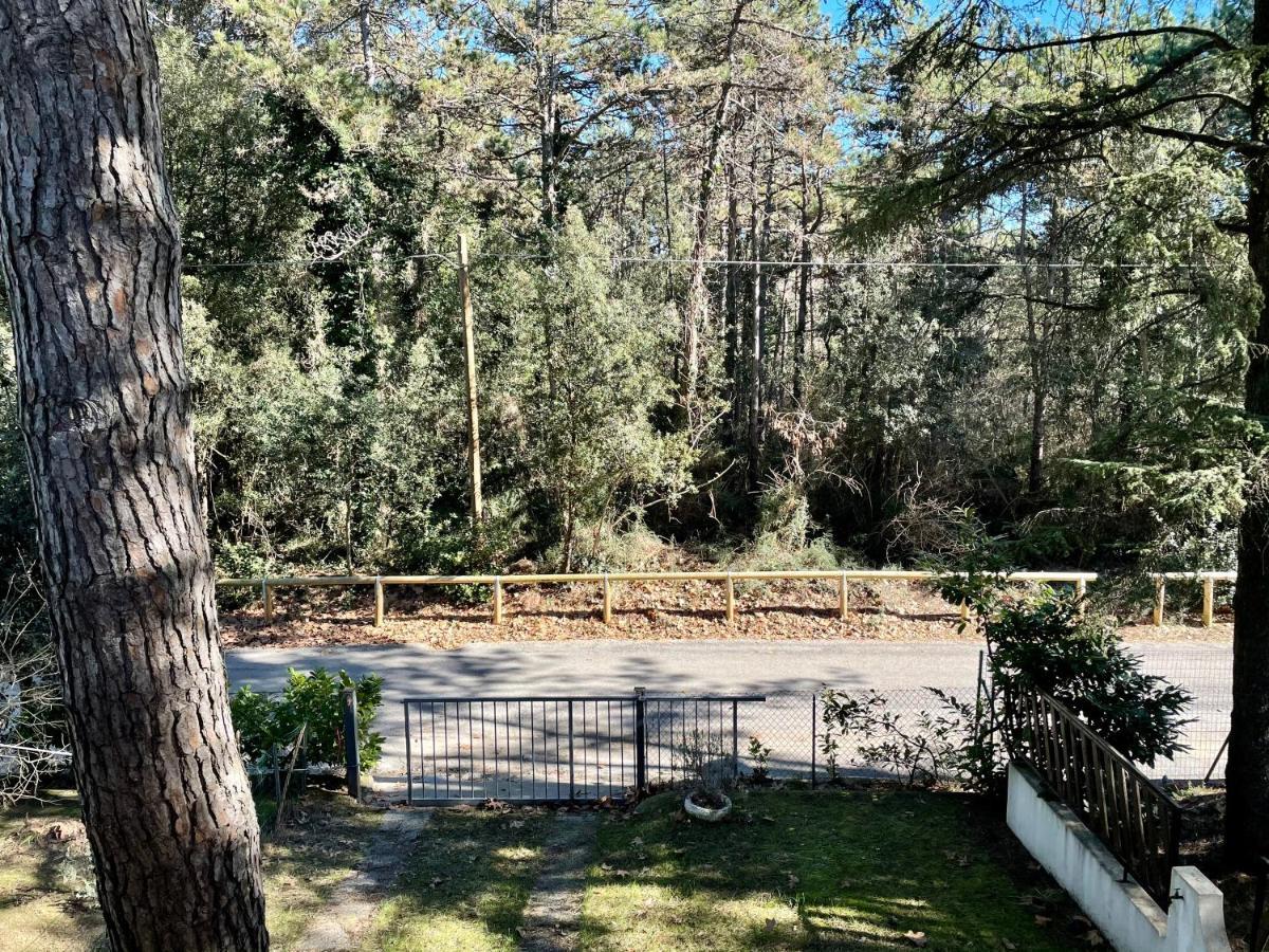 Villa Antonietta 3, Tra Pineta E Mare Bibione Bagian luar foto